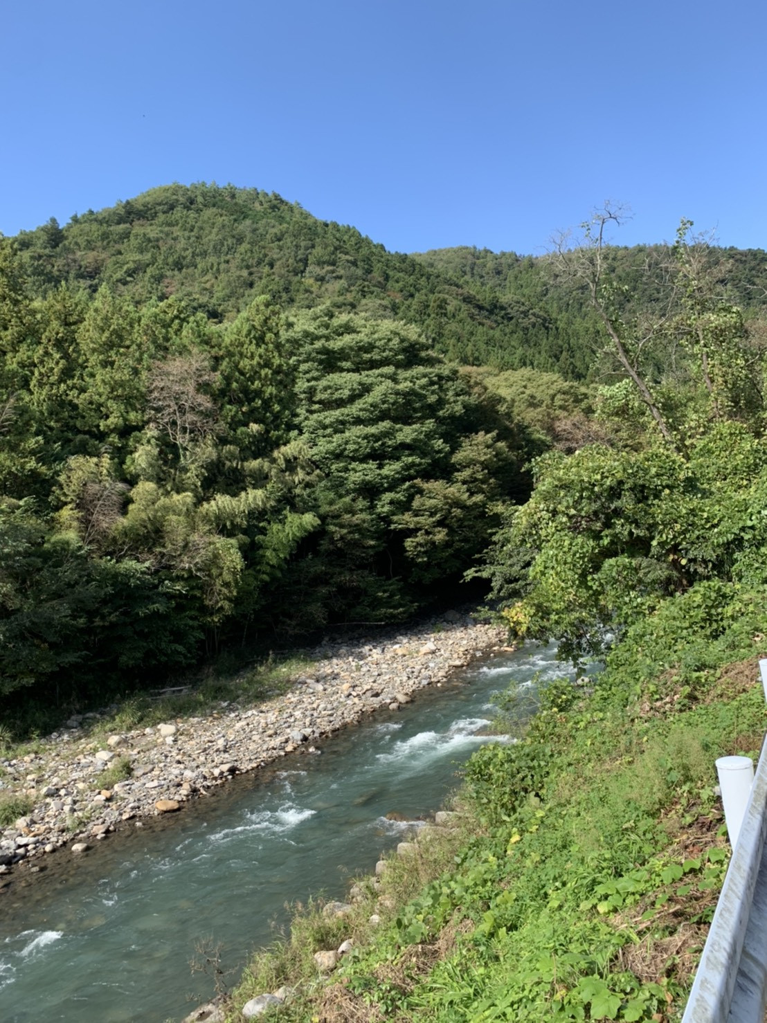 ～森林浴は服装に注意～